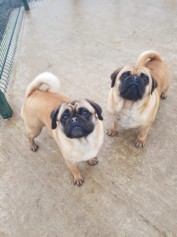 Buzz & Narla
